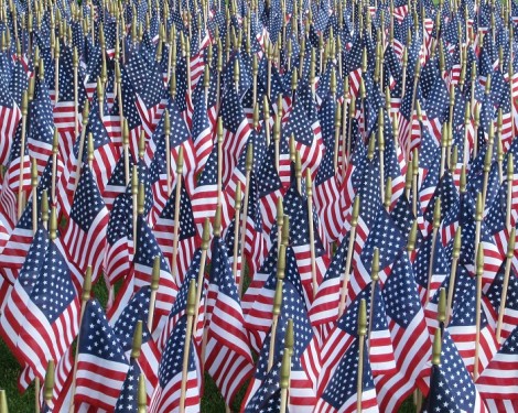 American Flag small flags